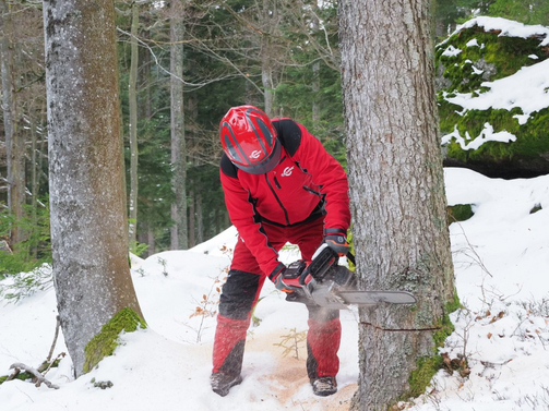 Mondschnitt Christbaum